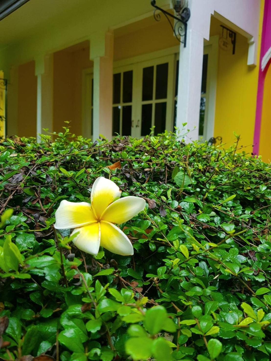 Baan Kung Kang De Pai Exterior foto
